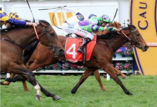 Group 3 winner I Am A Star (NZ) in action at Caulfield. Photo Credit: NZTM.